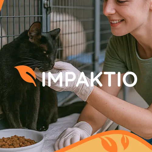 Impaktio