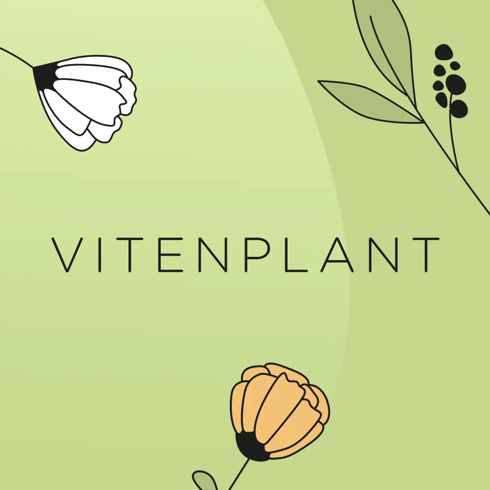 Vitenplant